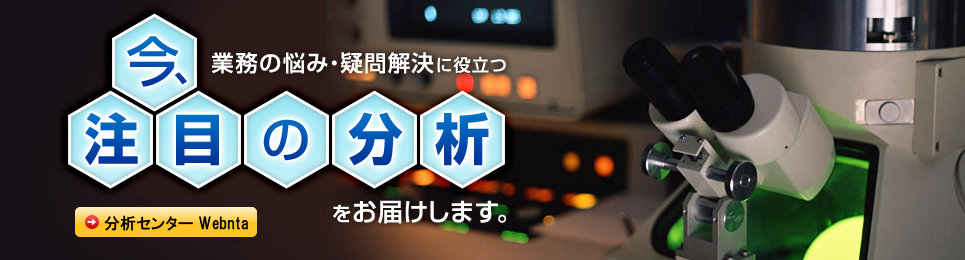 今注目の分析をお届けします!